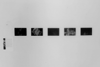 http://www.nausova.cz/domains/nausova.cz/files/gimgs/th-26_6_v2.jpg